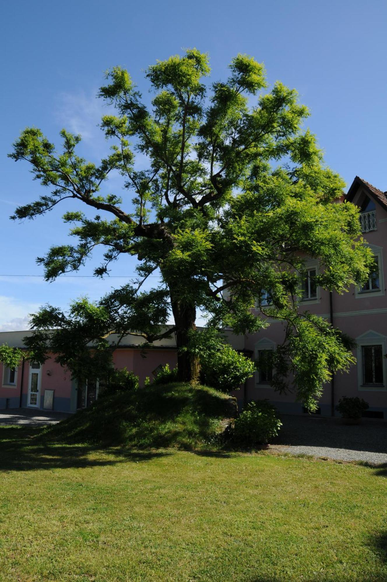 Villa Ester Tagliolo Monferrato Экстерьер фото